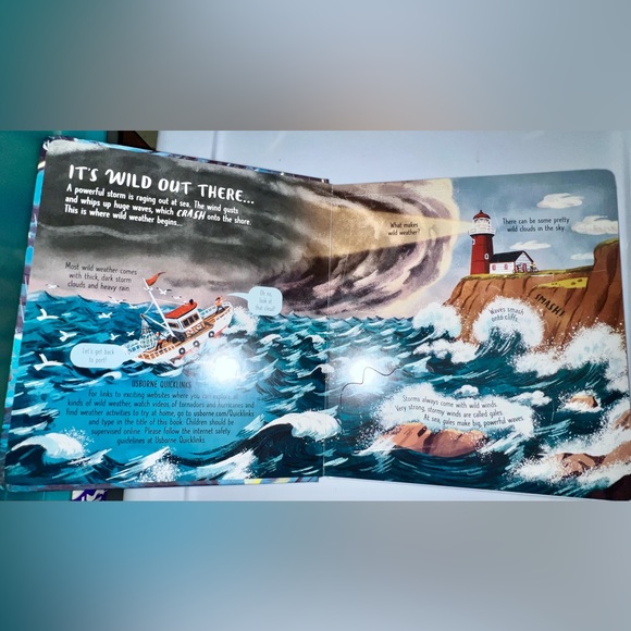 ⚡️Look Inside Wild Weather Flap Book⛈️ - Picture 4 of 6